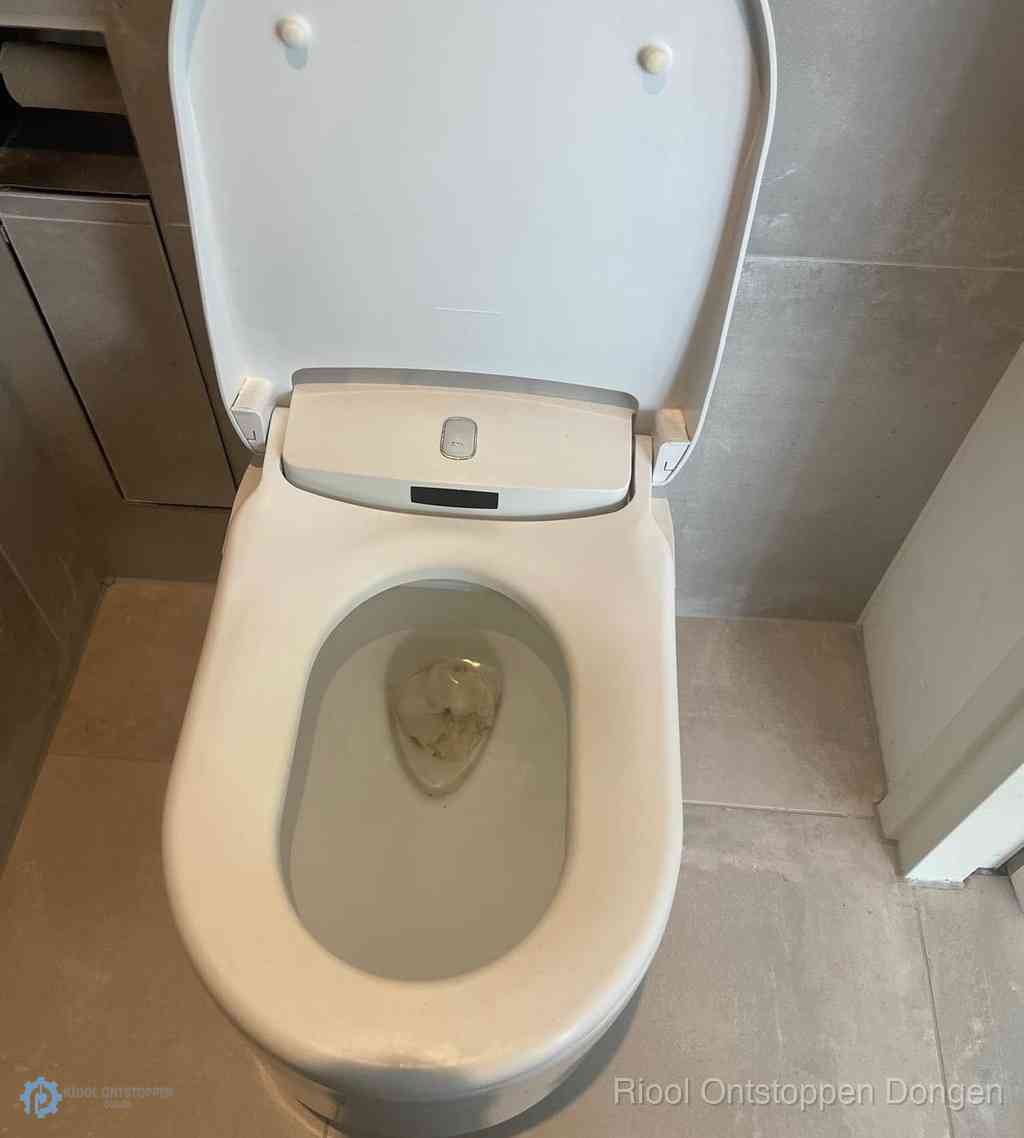 Toilet Ontstoppen Dongen